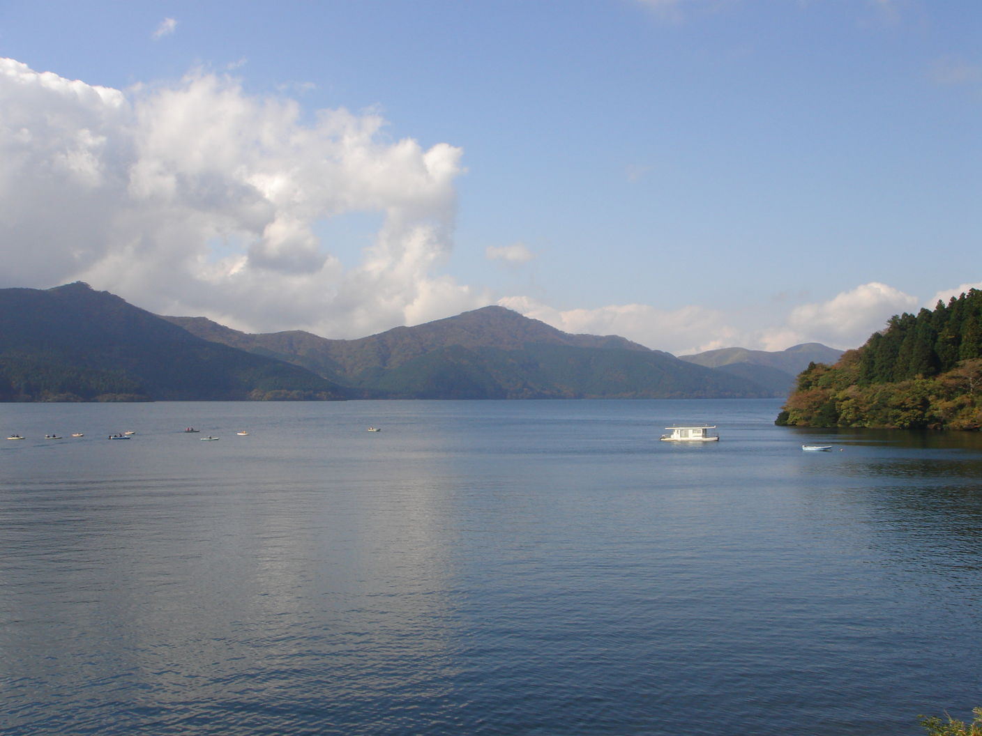 DSC00377.jpg