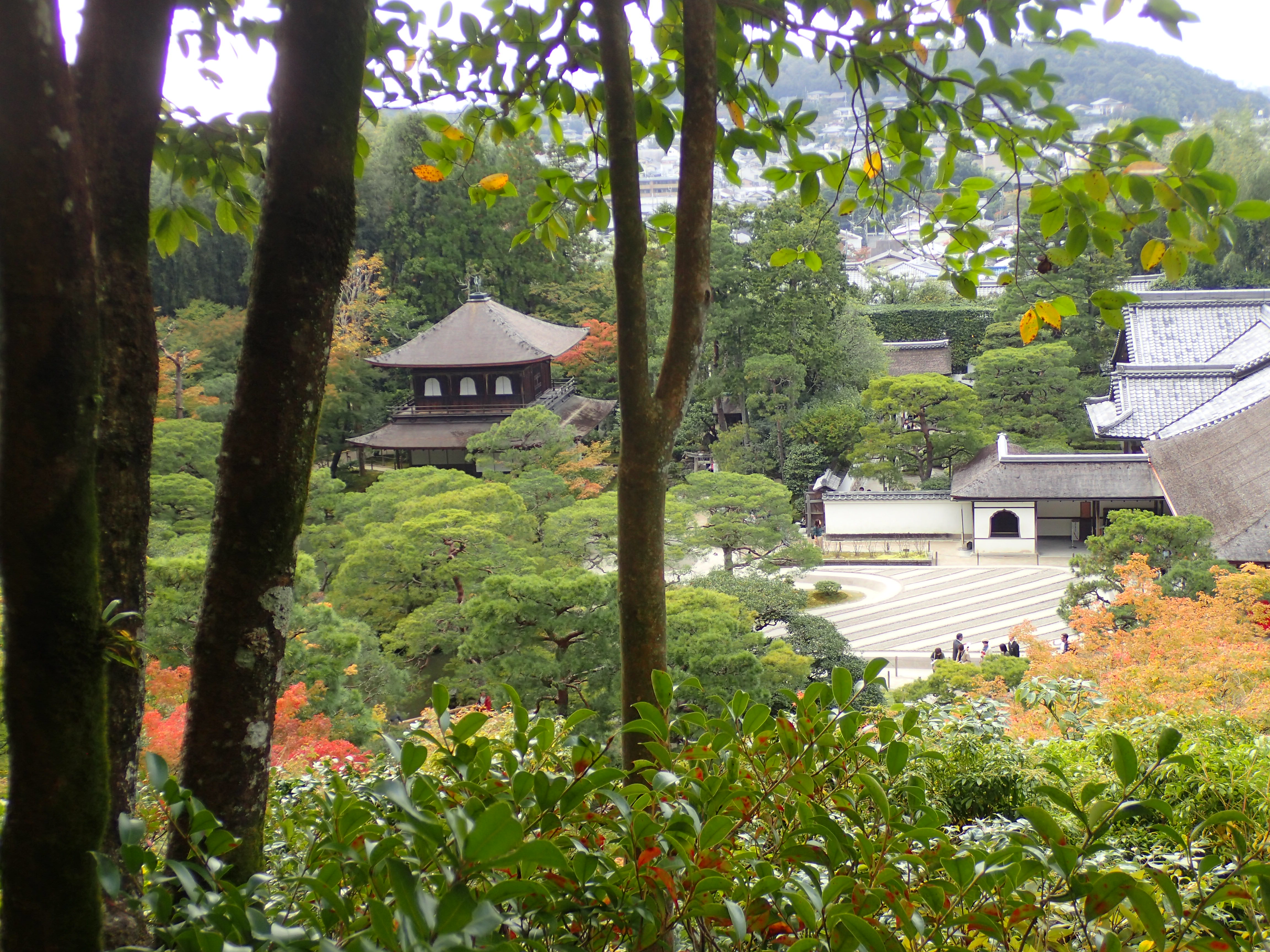 201810waseda_nanzan_kyoto25.jpg